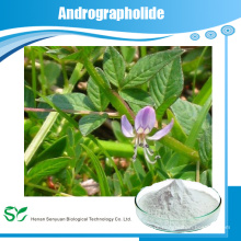 Extracto de folha de Andrographis de venda quente / Andrographolide 95% / Andrographis Extracto de planta de Extracto de Paniculate